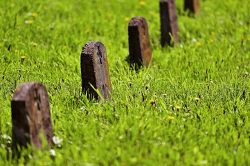 World War One heroes cemetery