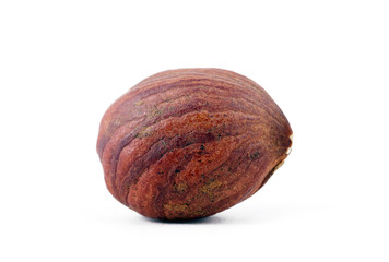 Hazel nut