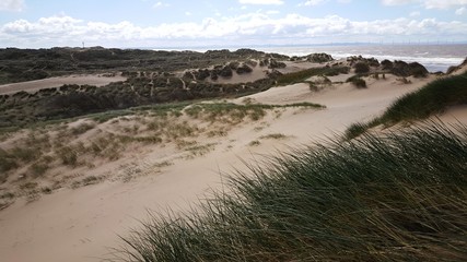 Sand beach in Formby, UK