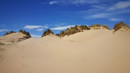 Fototapeta na wymiar Sand beach in Formby, UK