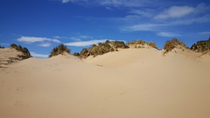 Sand beach in Formby, UK