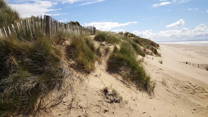 Sand beach in Formby, UK