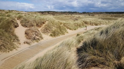 dune de sable