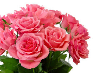 Pink rose  bouquet isolated.