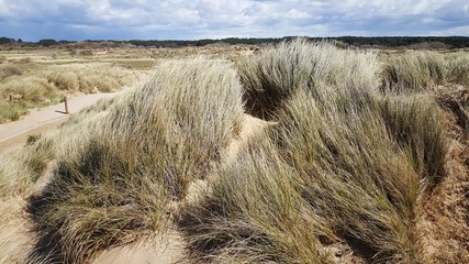 dune de sable