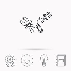 Terminal electrical icon. Charging the battery.