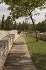 El camino del parque 