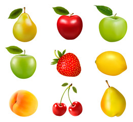 Big group of different fruit. Vector.