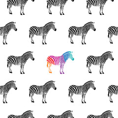 Fototapeta na wymiar zebra black and white and colorful seamless background. isolated on white background.