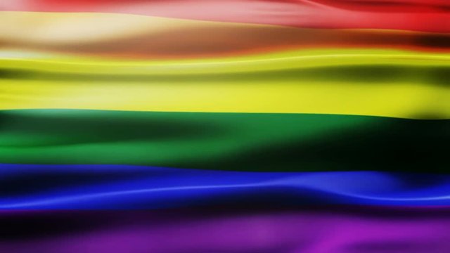 The rainbow flag, pride flag, LGBT pride flag or gay pride flag.