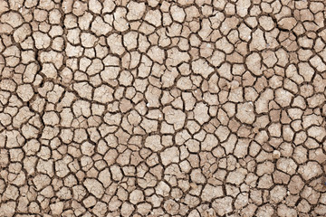 Dry and cracked ground of the road going through the Amboseli desert (aka "Amboseli lake") in Kenya
