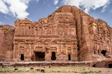 Sheeps grazing next to the Palace and Corinthian Tombs in the ancient city of Petra (Jordan)