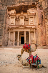 Close-up front view of the famous Al-Khazneh (aka Treasury) with camels resting next to it in the ancient city of Petra (Jordan)