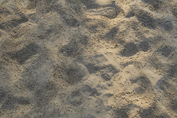 close up of beach sand texture background