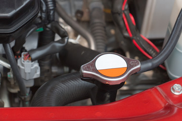 Fototapeta premium checking the engine of his car