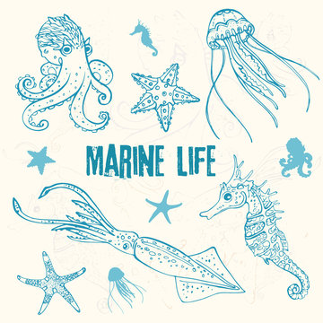 Set of linear marine life in the sketch style: octopus, jellyfish, two starfish, seahorse, squid/Hand drawn the inhabitants of the underwater world