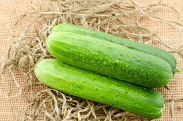 The fresh cucumbers.