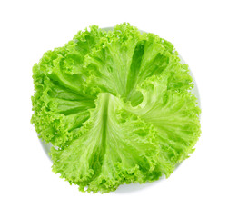 Naklejka na ściany i meble green lettuce on plate isolated on white background.