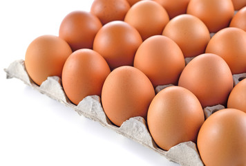 Eggs in paper tray on white background.