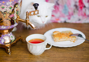 Samovar with a cup and fish pie cat