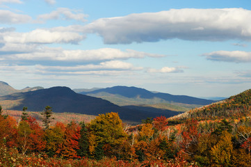 autumn forest and colored trees in the mountain