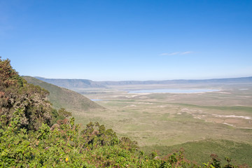 Panoramic view of huge Ngorongoro caldera (extinct volcano crater). Tanzania, East Africa. 
