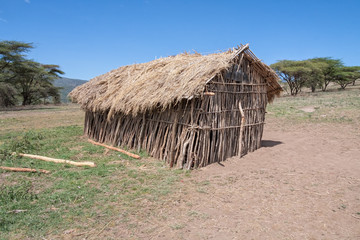 Fototapeta na wymiar Small Maasai village school with stockade walls sink to one side under thatched roof on flat meadow against blue sky background. Serengeti National Park, Tanzania, Africa. 