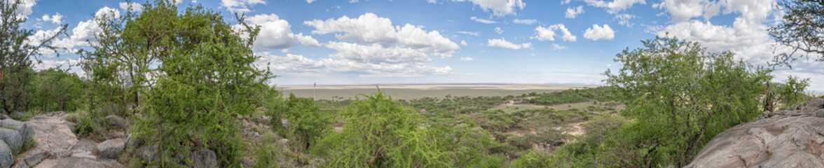 Panoramic view on plain savanna of Serengeti National Park from hill top. Tanzania, Africa.
