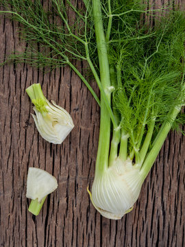 Fresh organic fennel bulbs for culinary purposes on wooden backg