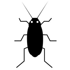 Black Cockroach, isolated on white

