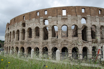 Naklejka premium Flowers by the Colosseum in Rome, Italy