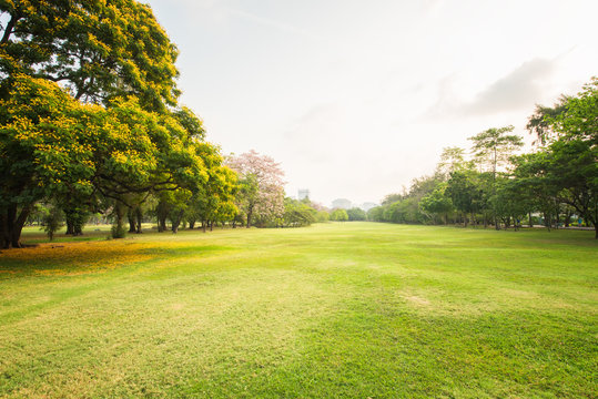 Green park landscape