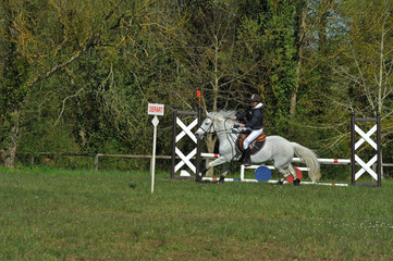 saut d'obstacle