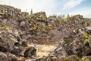 Fototapeta na wymiar Canyon with moss covered cliffs