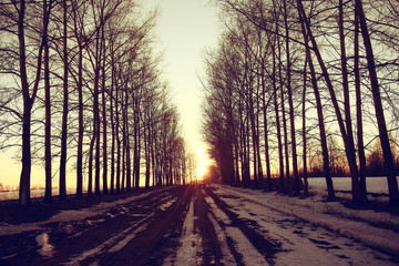 landscape road spring village in March