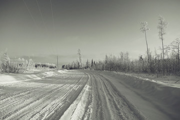 monochrome winter landscape