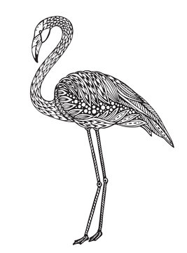 Hand drawn flamingo bird in ornate fancy doodle style.