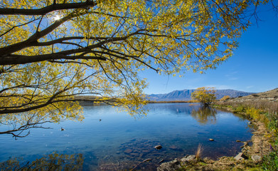 Obraz premium Beautiful autumn landscape in Lake McGregor,Canterbury Region, New Zealand