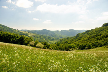 Forest Trail Nature White Carpathians