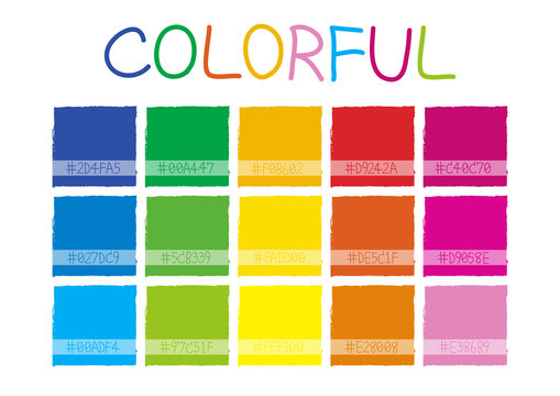 Colorful Color Tone with Code Vector Illustration