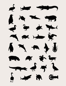 Water Animals Silhouettes, art vector design