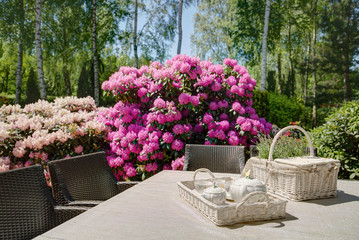 Picnic basket on the table