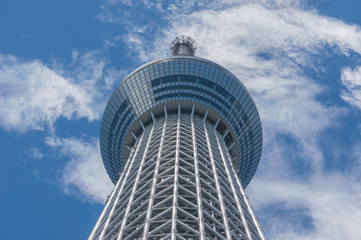 Obraz premium tokyo Sky Tree