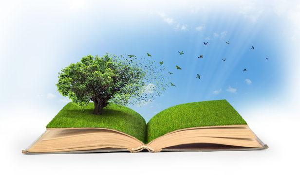 Concept of changes. Open book full of grass with a tree that tur