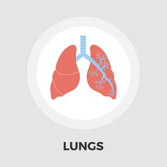 Lungs flat icon