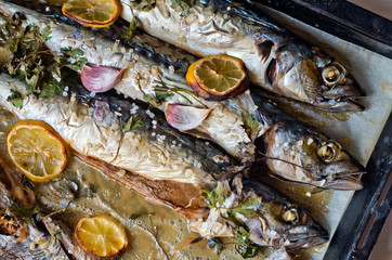 oily fish rich in antioxidants freshly cooked