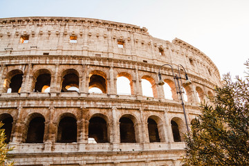Fototapeta na wymiar Colosseum. Rome. Italy