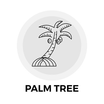 Palm Tree Line Icon