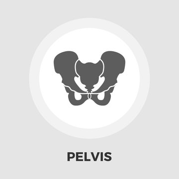 Pelvis icon flat