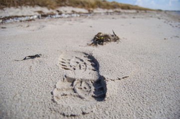 Beach Denmark